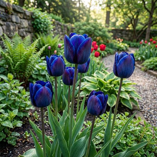 Tulip Blue Flower Seeds for Planting  Vibrant Blue Blooms for Your Garden