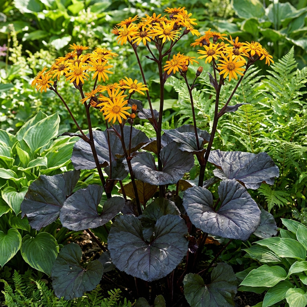 Britt-Marie Crawford Flower Seeds for Lush Foliage