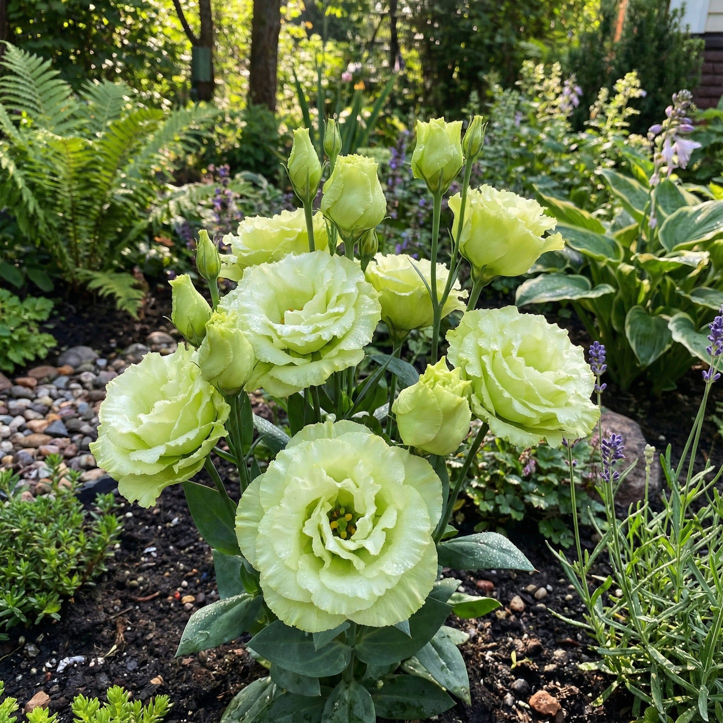 Eustoma Flower Seeds: Planting Instructions for Green Thumb Enthusiasts