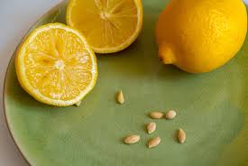 Fresh Harvest Lemon Seeds for Planting