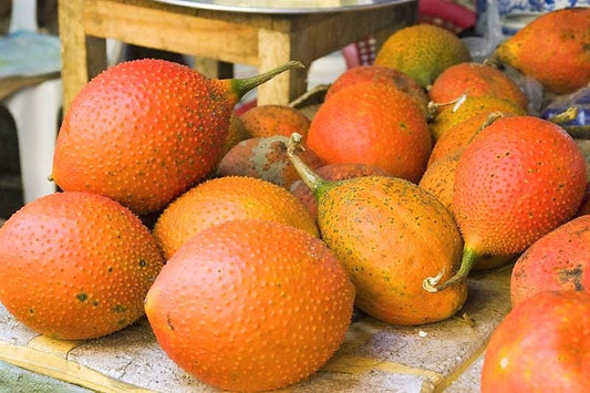 Gac Fruit Gac Melon Vine Momordica Cochinchinensis Seeds heirloom non-gmo organic garden seeds