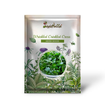 Wrinkled Crinkled Cress (Lepidium sativum) Garden Greens Vegetable Seeds