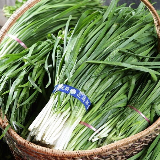 Garlic Chive (Allium tuberosum) Vegetable Seeds