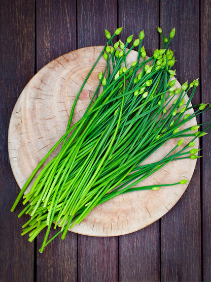 Chinese Leek (Oriental Garlic / Garlic Chives / Chinese Chives / Flat Chives) Allium tuberosum Vegetable Seeds