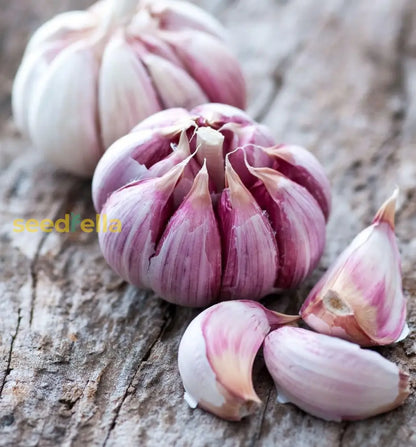 Plant Dark Blue Garlic Vegetable Seeds for Unique and Flavorful Gardens