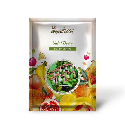 Salal Berry (Gaultheria shallon) Pink & White Flowers Blue Fruit Shrub Seeds