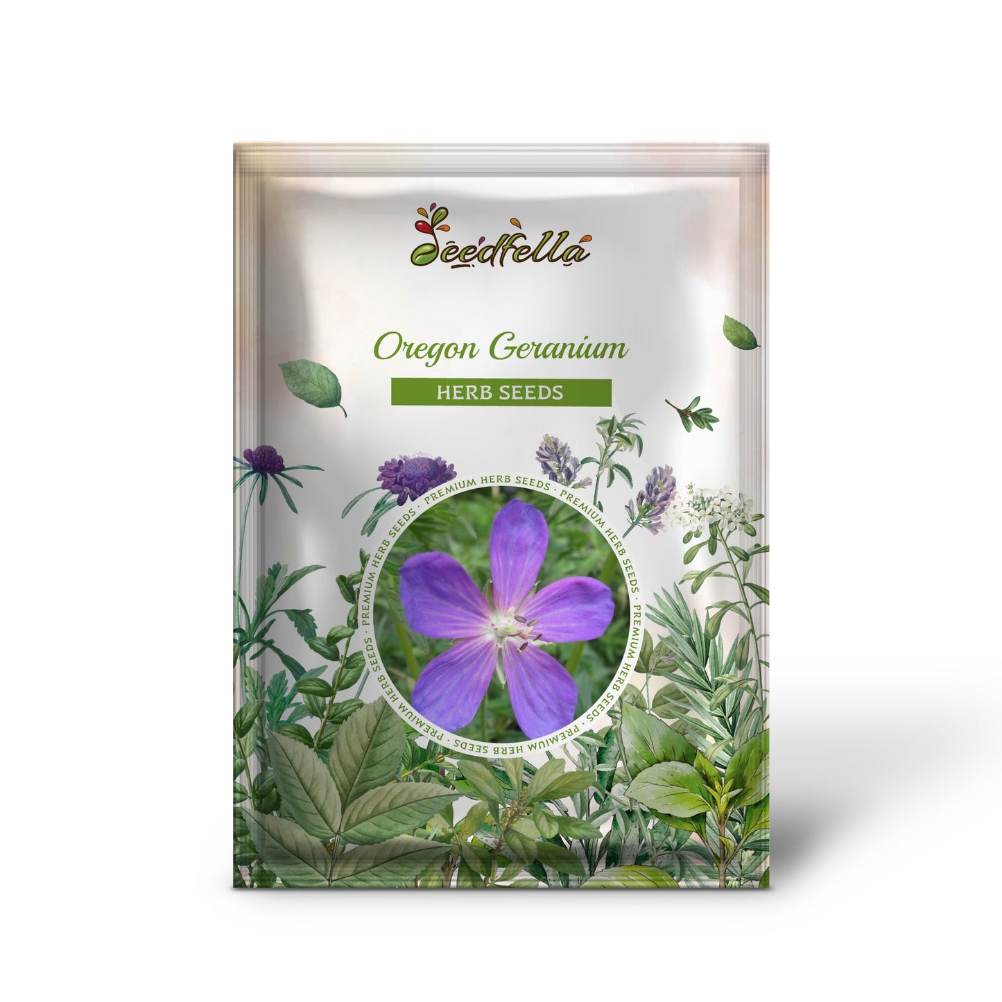 oregon native flower seeds Oregon Geranium Geranium Oreganum Cranesbill Purple Native Flower Herb Seeds Organic Garden Seeds – Pure Asia Seeds