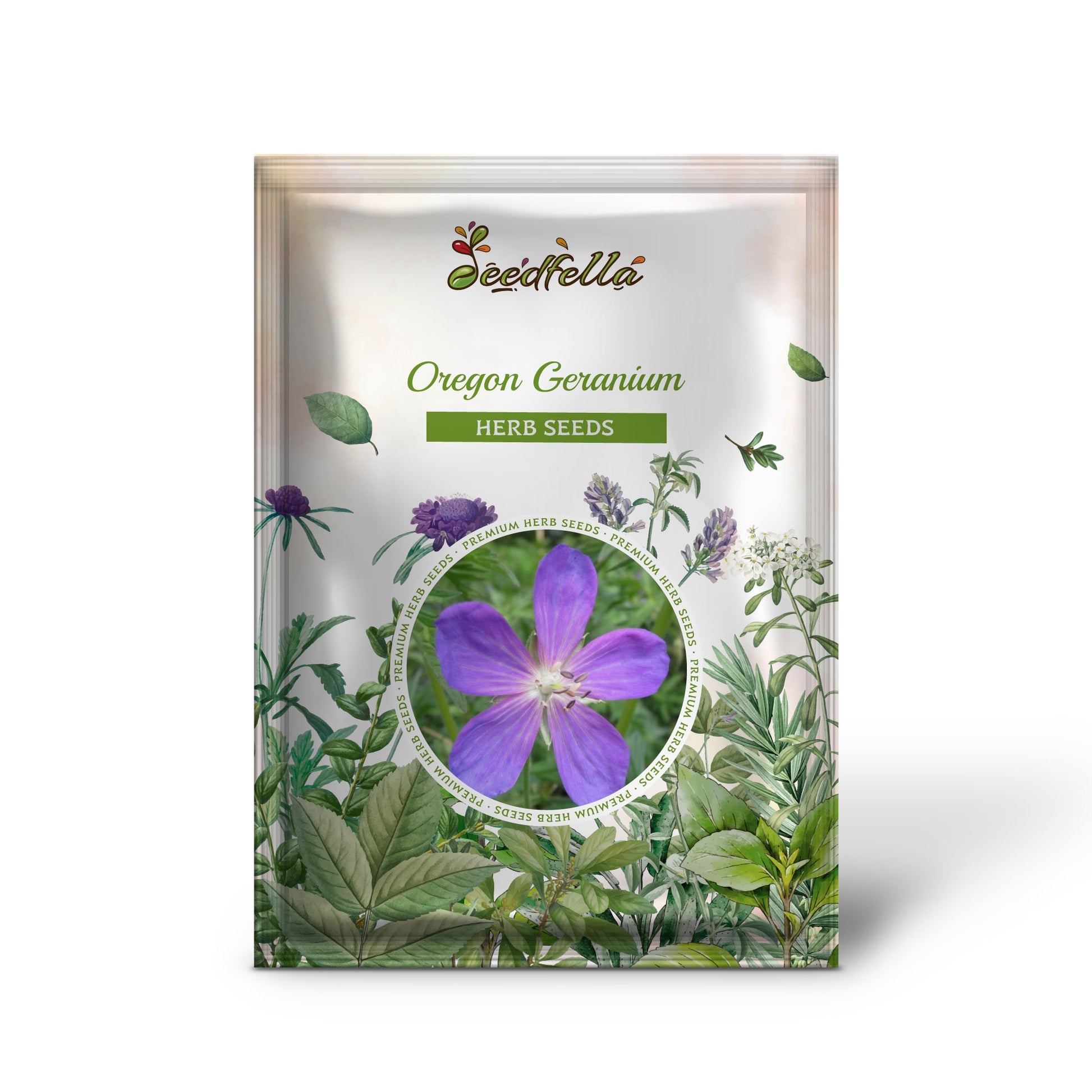 garden seeds oregon Oregon Geranium Geranium Oreganum Cranesbill Purple Native Flower Herb Seeds Organic Garden Seeds – Pure Asia Seeds