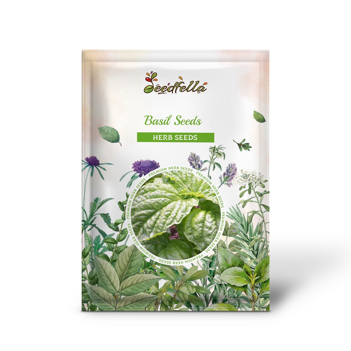 Basil Seeds - Mammoth Leaf (Ocimum basilicum)