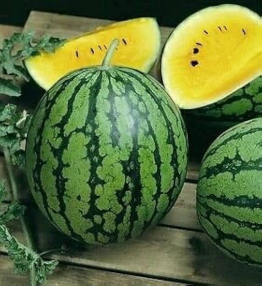 Giant Watermelon Seeds – Sweet Non Gmo Edible Fruits heirloom non-gmo organic garden seeds