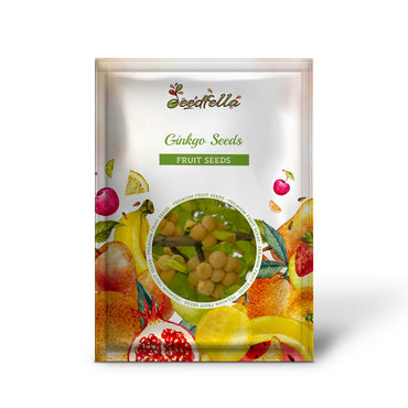 Ginkgosamen zum Pflanzen alter Bäume
