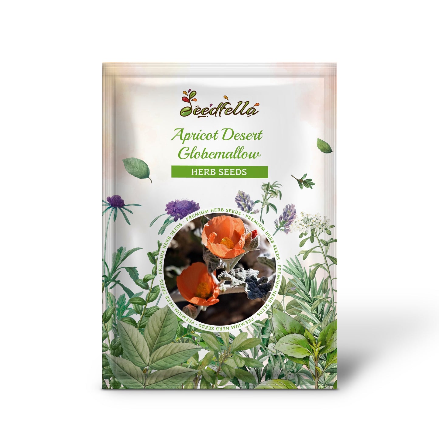 Apricot Desert Globemallow (Mallow Sphaeralcea ambigua) Flower Seeds