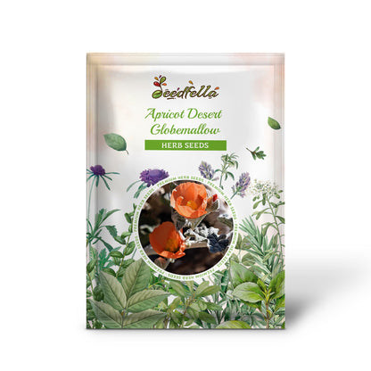 Apricot Desert Globemallow (Mallow Sphaeralcea ambigua) Flower Seeds