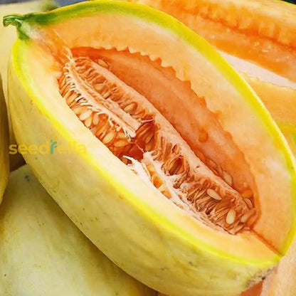 Gold Banana Melon Seeds For Planting Premium Fruit Seeds heirloom non-gmo organic garden seeds