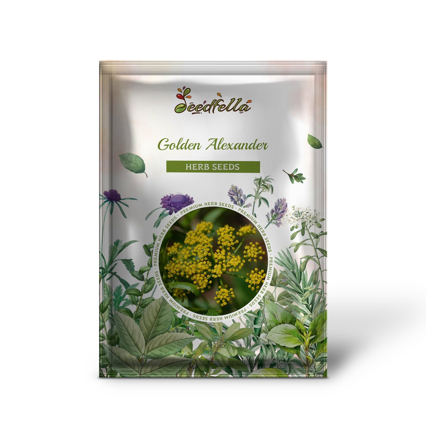 Golden Alexander (Zizia aurea) Flower Seeds - Meadow Zizia, Golden Zizia