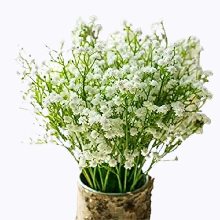Gypsophila Flores Flower seeds for Planting - Long Bloom Season, Heirloom & GMO Free Seeds for Home Garden