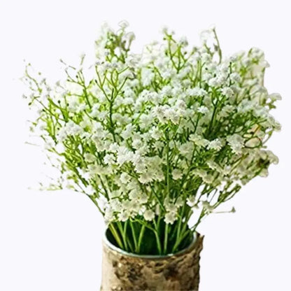 Gypsophila Flores Flower seeds for Planting - Long Bloom Season, Heirloom & GMO Free Seeds for Home Garden