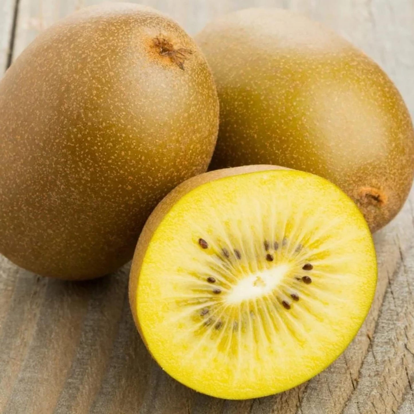 Golden Kiwi Fruit (Actinidia chinensis) Vine Seeds – Yellow Kiwifruit, Chinese Gooseberry, Flowering Vine