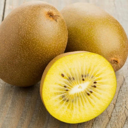 Golden Kiwi Fruit (Actinidia chinensis) Vine Seeds – Yellow Kiwifruit, Chinese Gooseberry, Flowering Vine