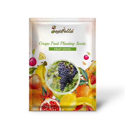 Grape Fruit Planting Seeds for Garden & Home Planting
