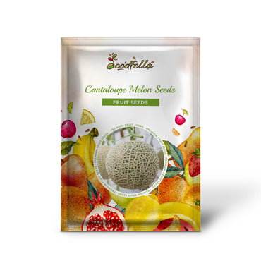 Cantaloupe Melon Seeds for Planting - Green and White Variety