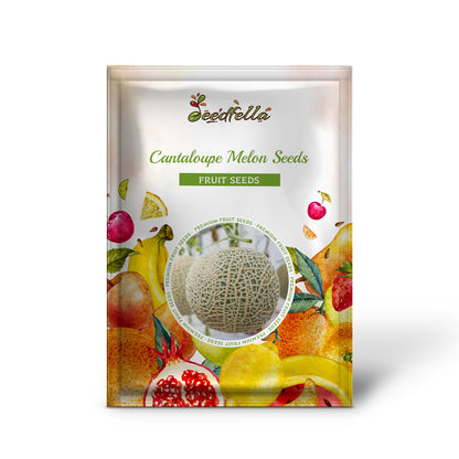Cantaloupe Melon Seeds for Planting - Green and White Variety