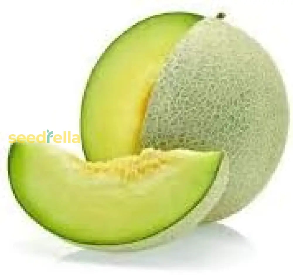 Green Honeydew Melon Seeds For Planting heirloom non-gmo organic garden seeds