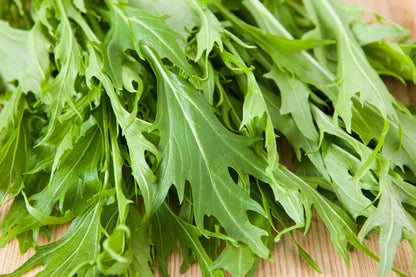 Green Mizuna Mustard Brassica Juncea Japanese Greens Herb Vegetable Seeds heirloom non-gmo organic garden seeds