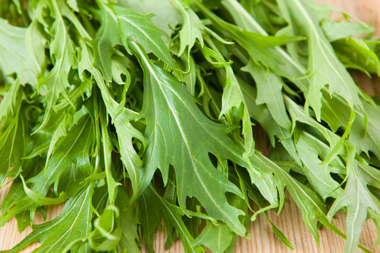 Green Mizuna Mustard Brassica Juncea Japanese Greens Herb Vegetable Seeds heirloom non-gmo organic garden seeds