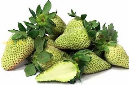 Green Strawberry Seeds for Planting