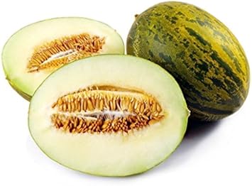 Green Toadskin Melon Seeds For Planting Heirloom Fruit Variety heirloom non-gmo organic garden seeds