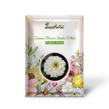 Green and White Zinnia Flower Seeds for vibrant gardens