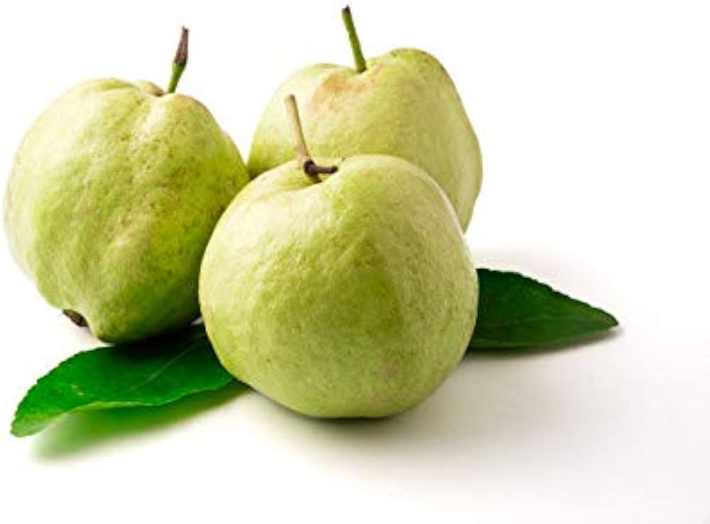 Guava Seeds for Planting Psidium Guajava backyard orchard edible garden