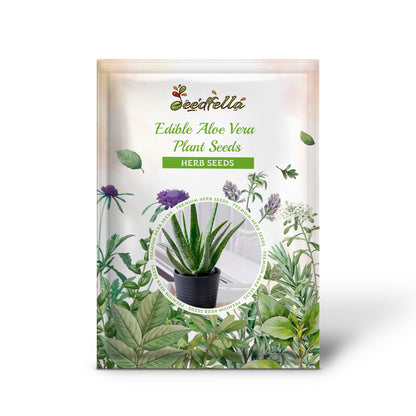aloe vera flower seeds Edible Aloe Vera Plant Seeds For Easy Planting Grow Fresh Aloe At Home Organic Garden Seeds – Pure Asia Seeds