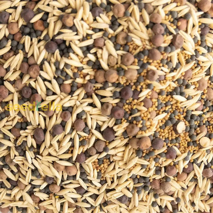 クリーム飼料作物の種まきガイド：成功する植え付けのための重要なポイント
