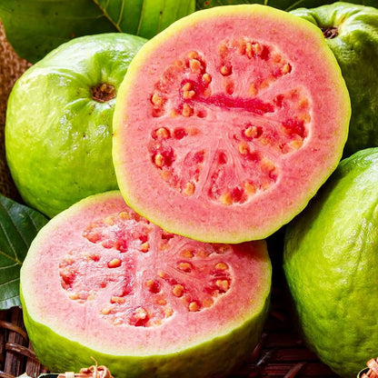 Guava Seeds for Planting Psidium Guajava for Tropical Gardens