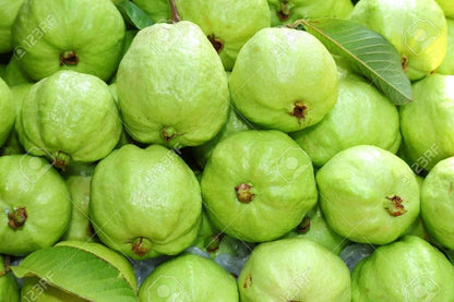 Guava Psidium Guajava Fruit Seeds (Guavenfruchtsamen)