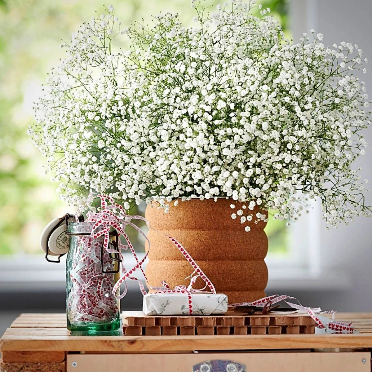 Gypsophila Flores Flower seeds for Planting - Long Bloom Season, Heirloom & GMO Free Seeds for Home Garden