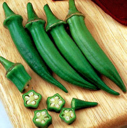 Hamburg Rooted Parsley Seeds – Dual Purpose Root And Leaf Herb heirloom non-gmo organic garden seeds