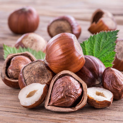 European Hazelnut Tree (Corylus Avellana) Seeds – Common Filbert Edible Nut Fruit Tree