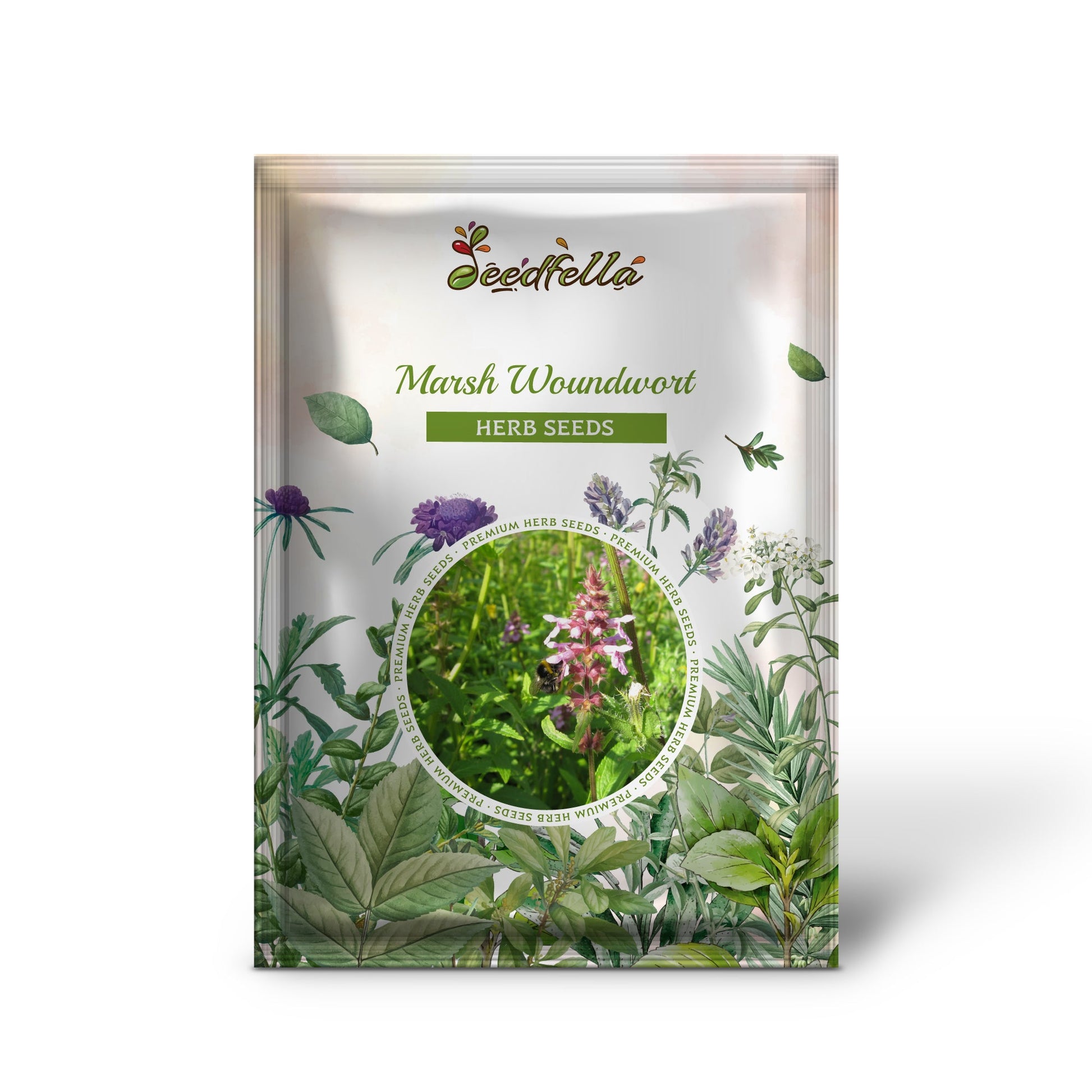 hedge plants seeds Marsh Woundwort Stachys Palustris Hedge Nettle Herb Purple Flower Seeds Organic Garden Seeds – Pure Asia Seeds