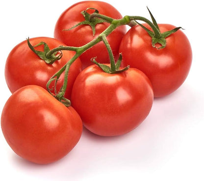 Heirloom Tomato Homestead Bulk Seeds for Home Gardens