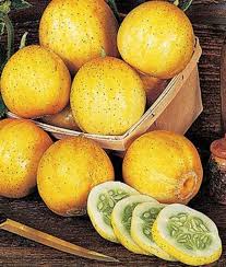 Lemon Cucumber Seeds – Cucumis Sativus Fruit Vegetable