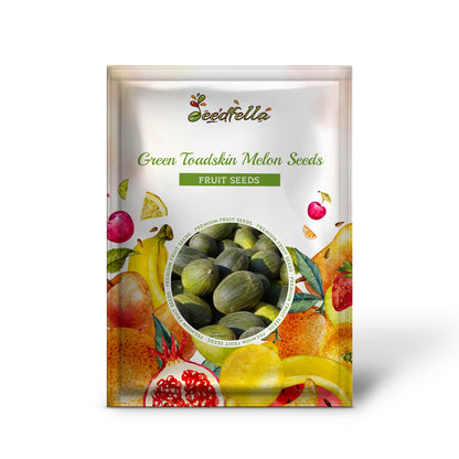 Green Toadskin Melon Seeds for Planting - Heirloom Fruit Variety