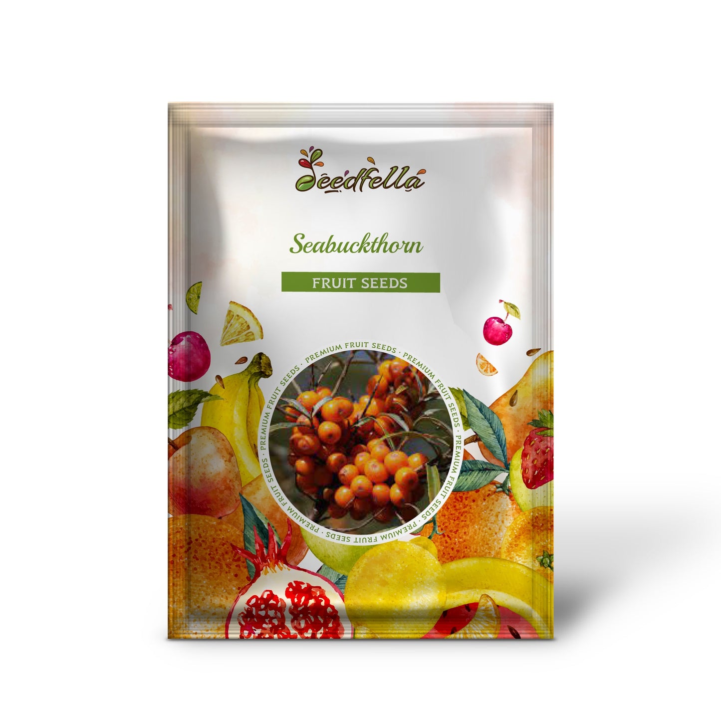 Sanddorn (Hippophae rhamnoides) Samen
