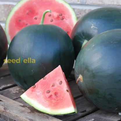 Densuke Watermelon Seeds for Planting | Grow Sweet and Juicy Watermelons at Home