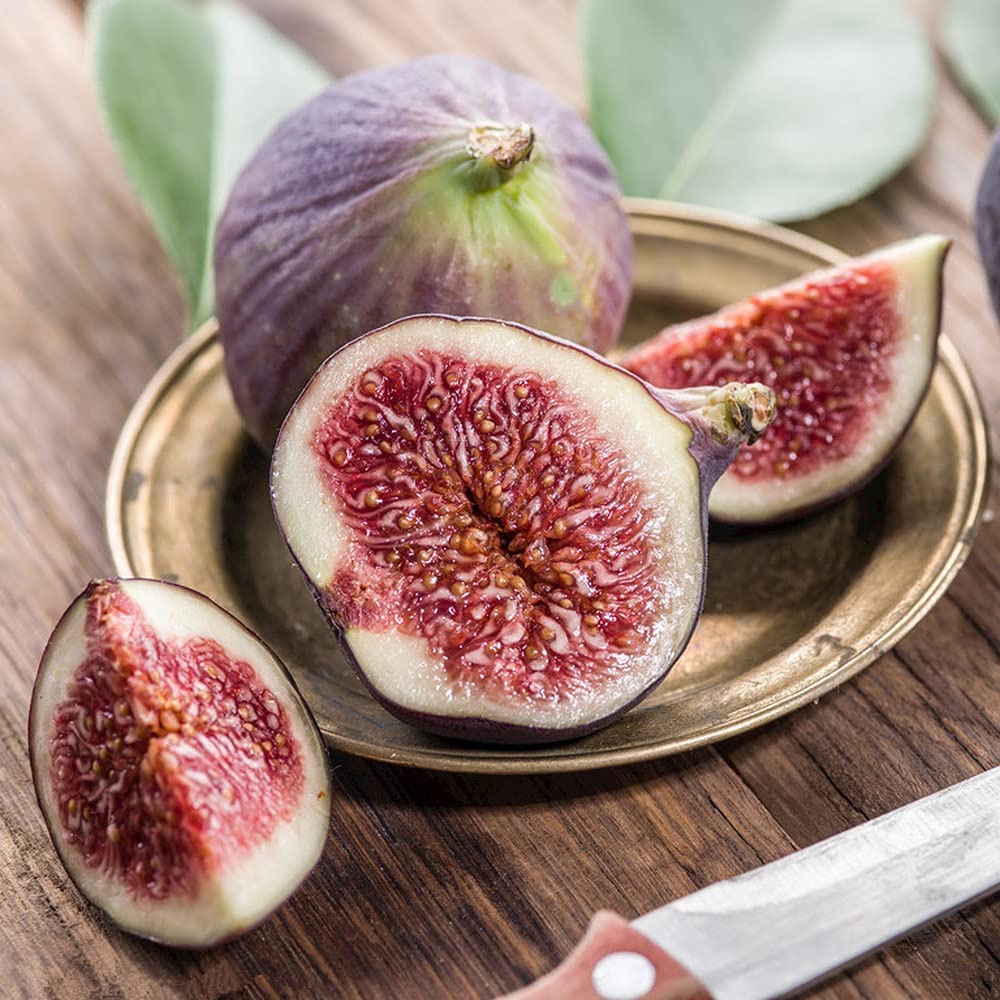 Four Seasons Sweet Honey Fig Seeds – Ideal For Balcony Vegetables And Fruits heirloom non-gmo organic garden seeds