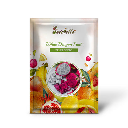 White Dragon Fruit (Pitaya / Pitahaya / Strawberry Pear) Hylocereus undatus Cactus Seeds