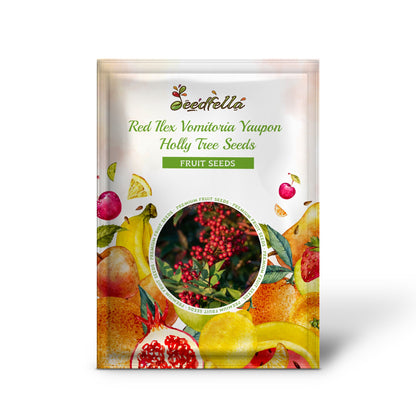 Red Ilex Vomitoria Yaupon Holly Tree Seeds for Planting Perennial Garden Essential
