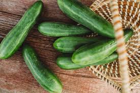 English Telegraph Cucumber Seeds for Planting – Heirloom, Non-GMO, Long Green Slicer, Easy to Grow